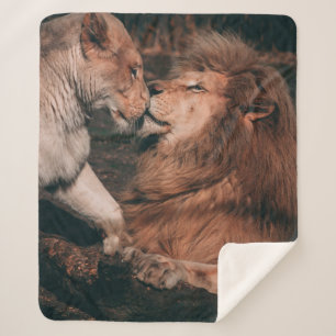 LION LYING ON BROWN ROCK SHERPA BLANKET