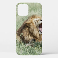 LION LYING ON GREEN GRASS DURING DAYTIME