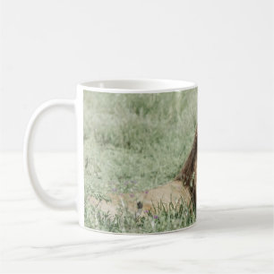 LION LYING ON GREEN GRASS DURING DAYTIME COFFEE MUG