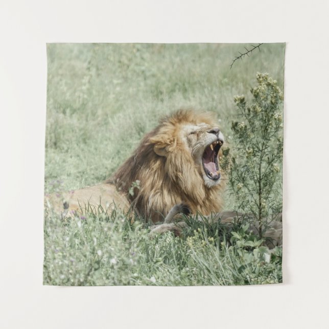 LION LYING ON GREEN GRASS DURING DAYTIME TAPESTRY (Front)