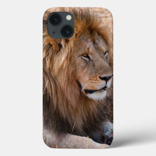Lion Maasai Mara National Reserve, Kenya iPhone 13 Case