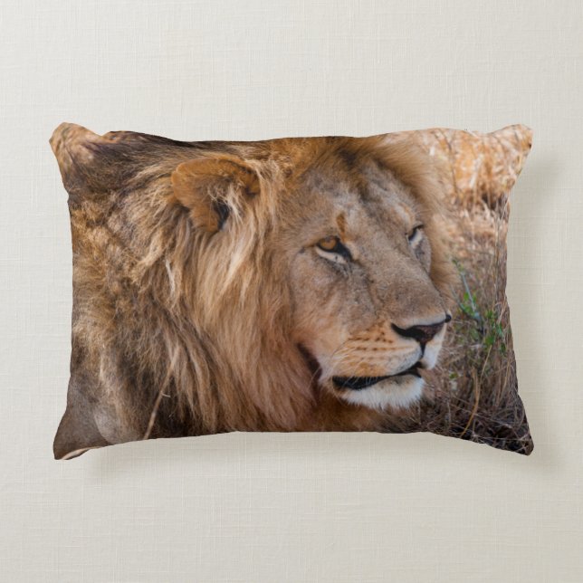 Lion Maasai Mara National Reserve, Kenya Decorative Cushion (Front)