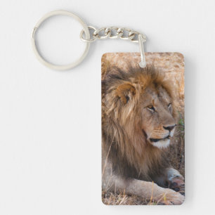 Lion Maasai Mara National Reserve, Kenya Key Ring