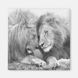 Lion Magnet