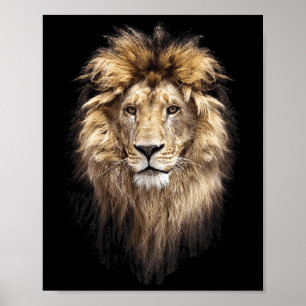 Lion Main Animal Face Big Cat Poster