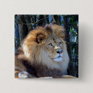 lion mane 15 cm square badge