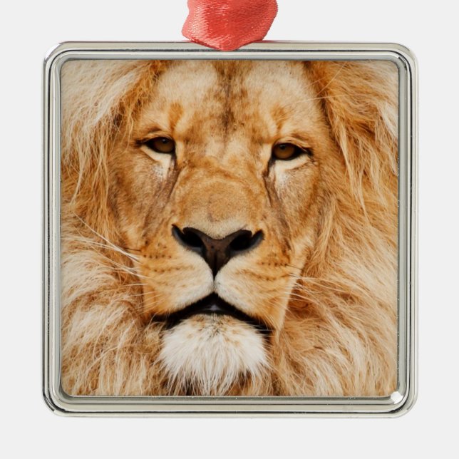 Lion Metal Ornament (Front)