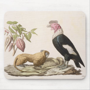 Lion monkey and condor, native to Chile or Ecuador Mouse Pad