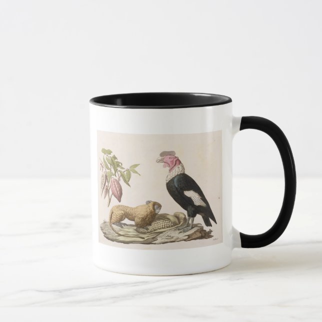 Lion monkey and condor, native to Chile or Ecuador Mug (Right)