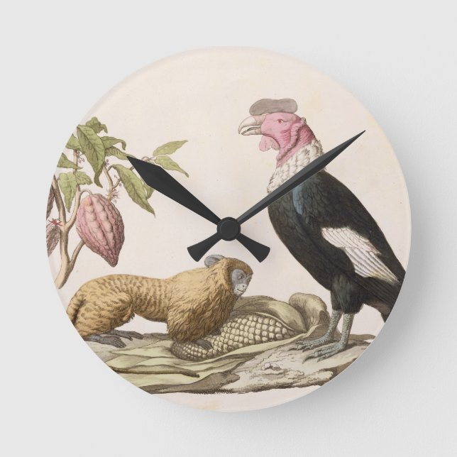 Lion monkey and condor, native to Chile or Ecuador Round Clock (Front)