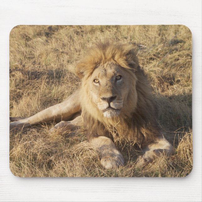 Lion Mouse Pad (Front)