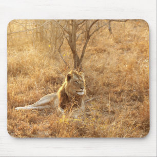 Lion Mouse Pad