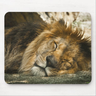lion mouse pad