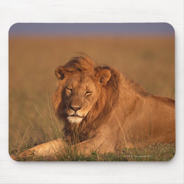 Lion Mouse Pad (Front)