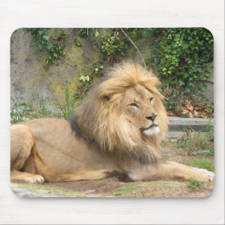 Lion Mouse Pad