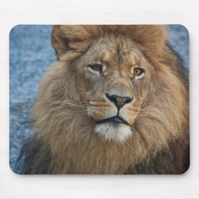 Lion Mousepad (Front)