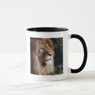 lion mug