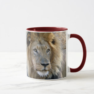 Lion Mugs