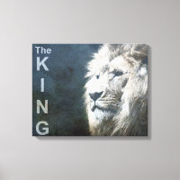 Lion Nature Animal Photo The King Template