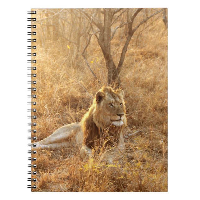 Lion Notebook (Front)