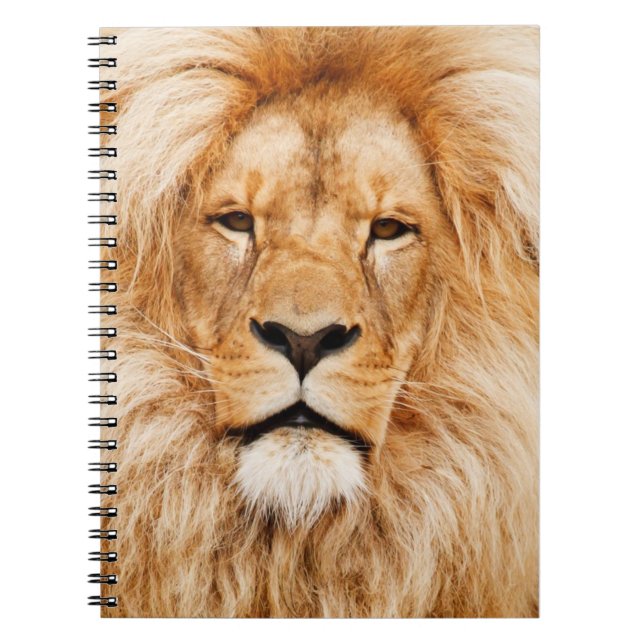 Lion Notebook (Front)
