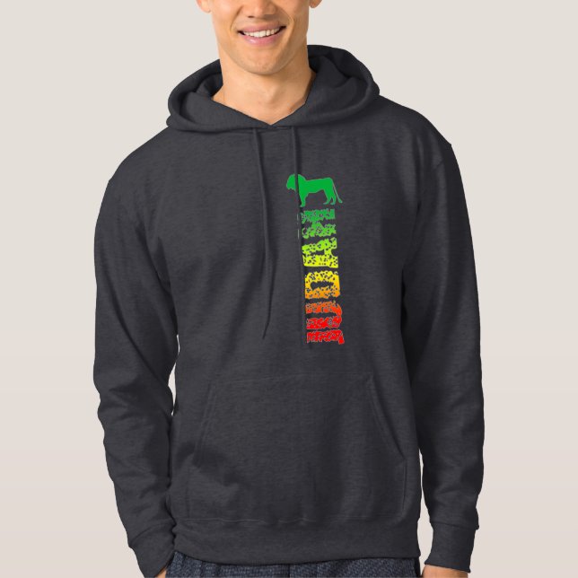 Lion of Judah Hoodie (Front)