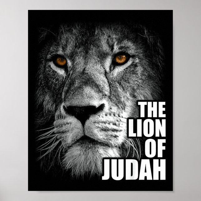 Lion Of Judah Jesus Christian Faith Over Fear  Poster (Front)