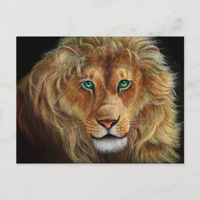 lion of Judah Postcard (Front)