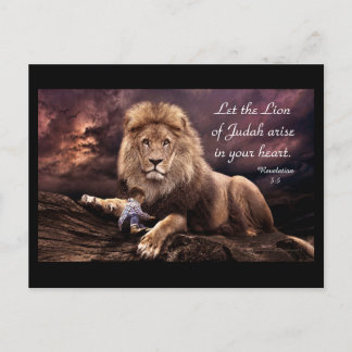 Lion of Judah Revelation 5:5 Postcard