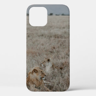 LION ON BROWN GRASS FIELD DURING DAYTIME iPhone 12 CASE