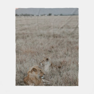 LION ON BROWN GRASS FIELD DURING DAYTIME FLEECE BLANKET