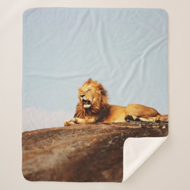 LION ON GROUND DURING DAYTIME SHERPA BLANKET (Front)