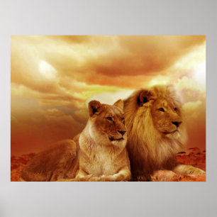 Lion Pair Posters