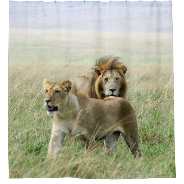 Lion Pair shower curtain (Front)