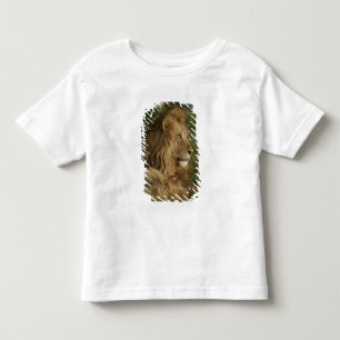 Lion, Panthera leo, Lower Mara, Masai Mara GR, Toddler T-Shirt