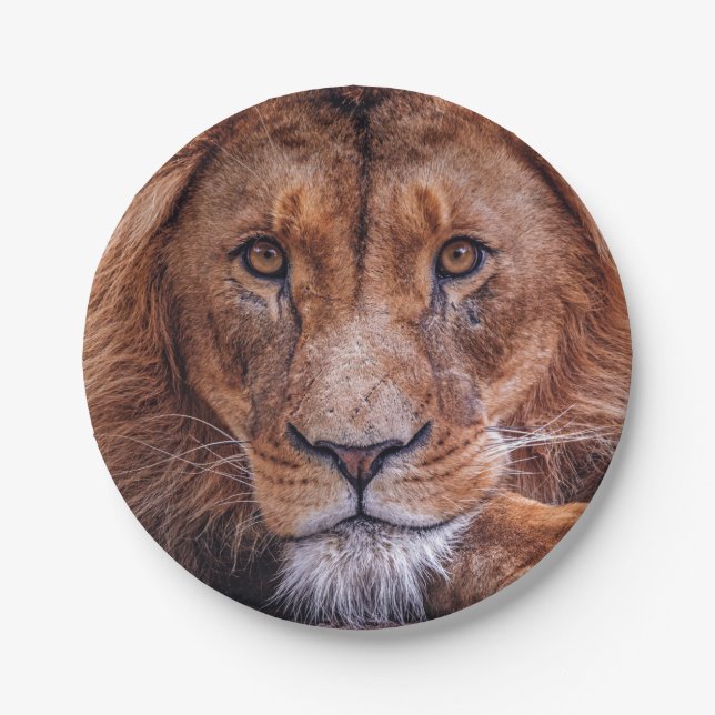 Lion Paper Plate (Front)