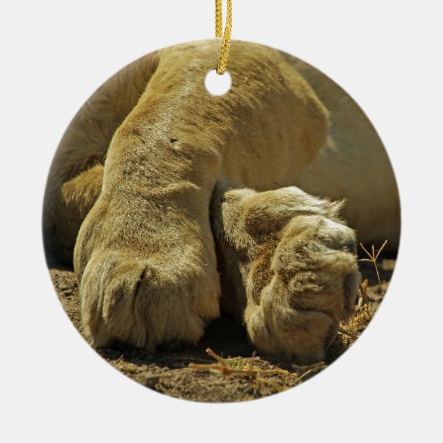 Lion Paws Ceramic Tree Decoration (Front)