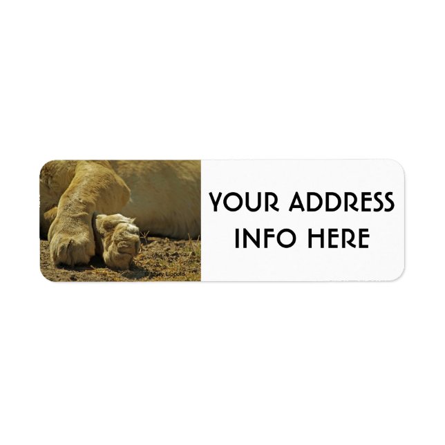 LION PAWS RETURN ADDRESS LABEL (Front)