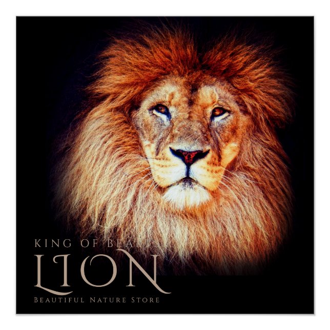 Lion [Perfect Poster] Poster (Front)