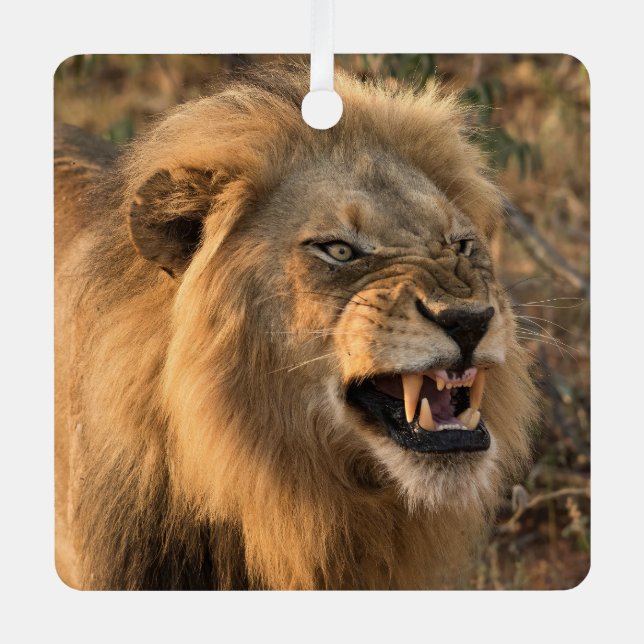 LION Personalise Name Photo Christmas Metal Tree Decoration (Front)