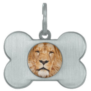 Lion Pet ID Tag