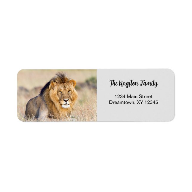 Lion photo personalised Return Address Label (Front)