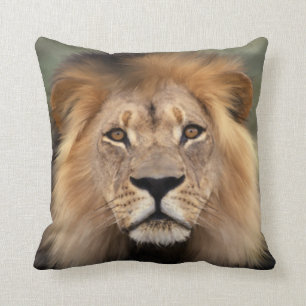 Lion Photograph Cushion