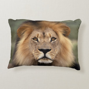 Lion Photograph Decorative Cushion