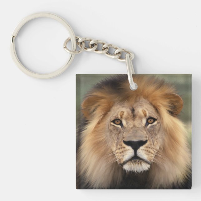 Lion Photograph Key Ring (Front)
