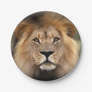 Lion Photograph Paper Plate