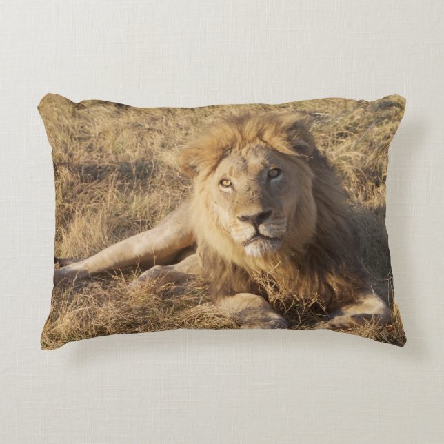Lion pillow (Front)