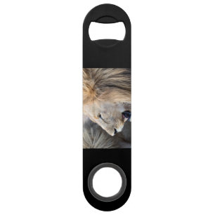 Lion Portrait