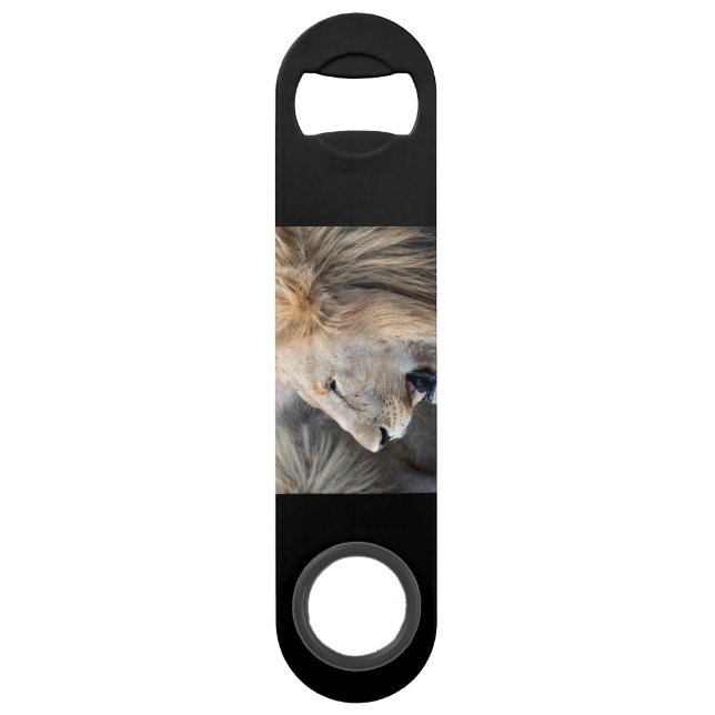 Lion Portrait (Back)