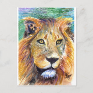 Lion Portrait ACEO Postcard